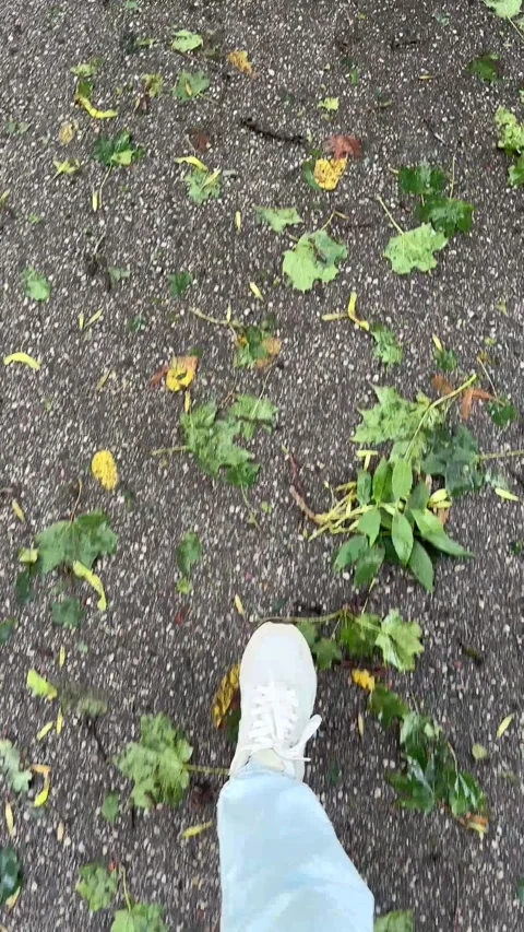 POV Walking Through Storm Debris on Park Path Video stock 343445882