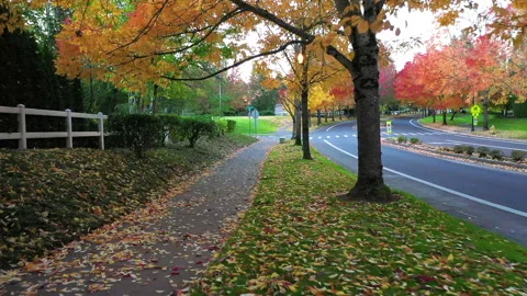 POV, walking through suburb in Oregon in autumn Video stock 138207286