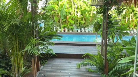 POV walking through tropical plants towards swimming pool Stock Footage 345661175