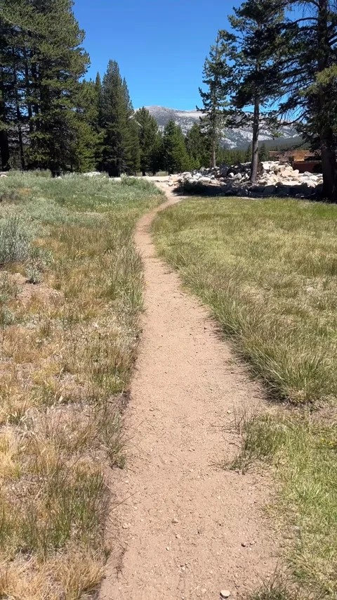 POV Walking Through Tuolumne Meadows 4K Video stock 341703389