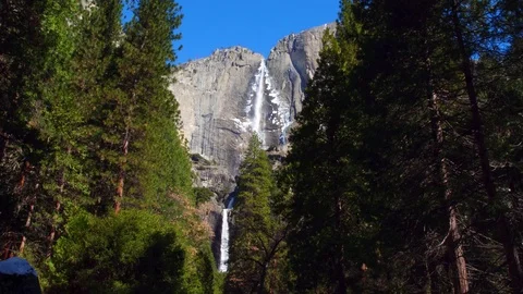 POV Walking Towards Yosemite Falls Waterfall Through Trees Stock Footage