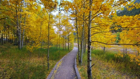 Pov walking on trail at Ashcroft mining ghost town, Aspen Colorado in autumn Stock Footage 138132417