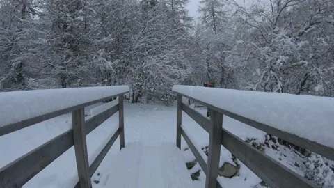 POV walking a wooden bridge in winter toward larch forest Stock Footage 237166340