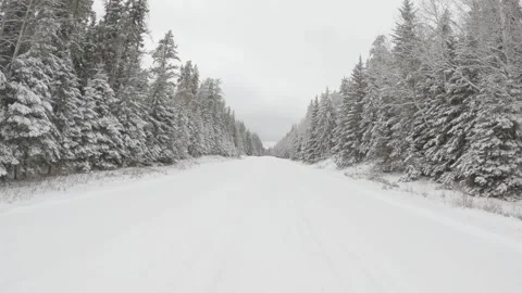 POV while driving along a snow covered road in a forest Stock Footage 262461098