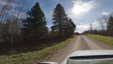POV from white car driving along a gravel park road through a northern forest. Stock Footage 308587789