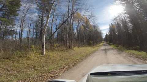 POV from a white car while driving a dirt road through a northern forest towards Stock Footage 306092738
