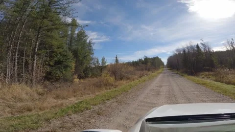 POV from a white car while driving a gravel road through a northern forest Stock Footage 306093219