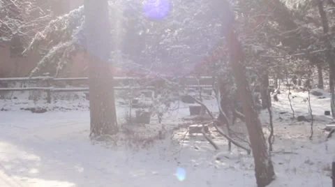 POV window from moving car in Winter Stock Footage 34404523