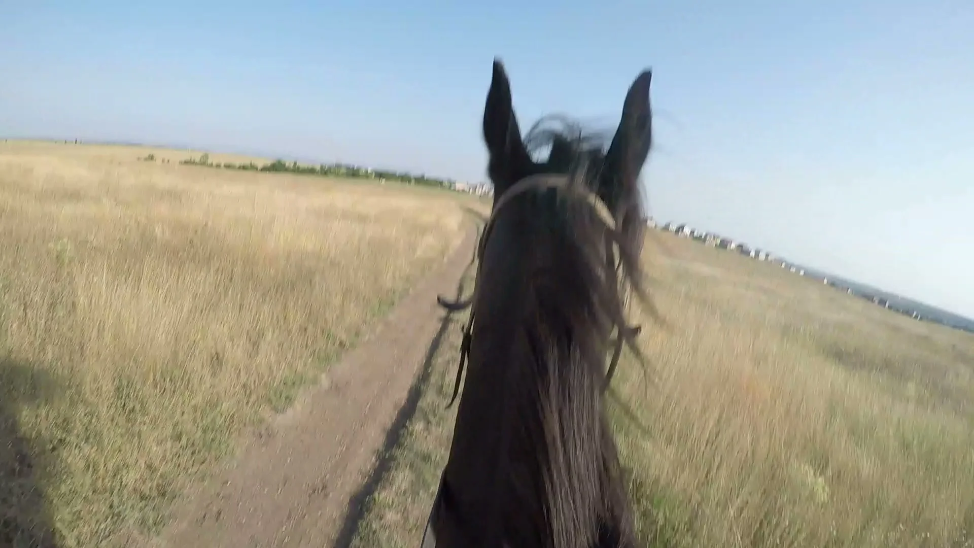 PoV Young girl horseback rider riding horse on country road picture