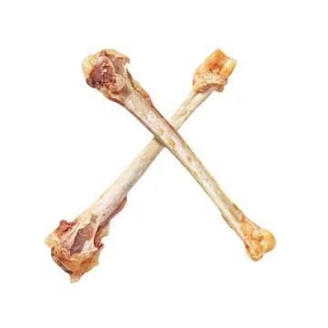 Poverty concept.Two crossed chicken bones isolated on white. Stock Photos