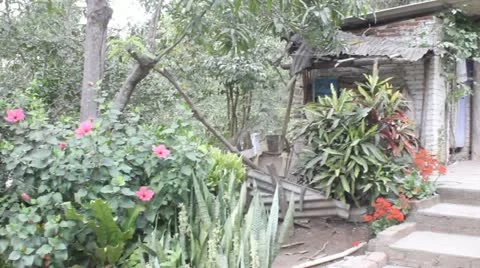 Poverty Stock Footage 11632330