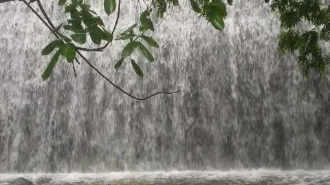 Powai Lake 2 Video stock 112330213