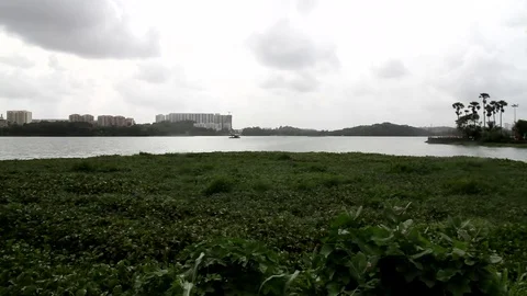 Powai Lake Stock Footage 78977171