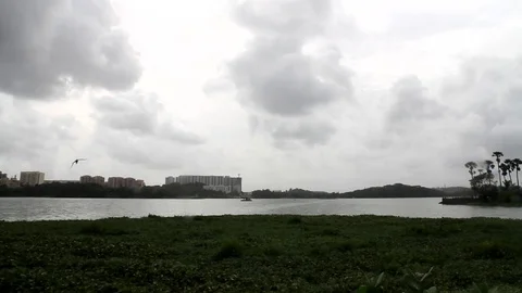 Powai Lake Stock Footage 78977725