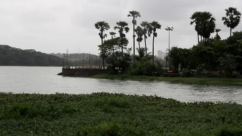 Powai Lake Stock Footage 78978510