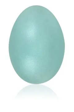 Powder blue egg Stock Illustration