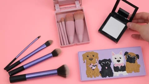 Powder brushes makeup Stock Footage 280205869