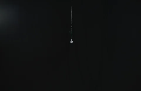 Powder Explosion 3 Stock Footage 112390010