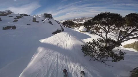 Powder skiing Amongst Trees Video stock 67682199