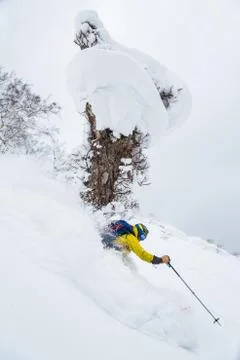 Powder skiing under large tree stump with massive snow mushroom. Stock Photos