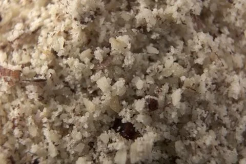 Powdered hazelnut Stock Photos