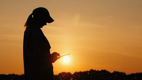 The power of the agronomist uses digital tablet outdoors in a beautiful place at Stock Footage 108824225