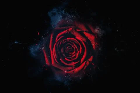 Power of a flower Stock Photos