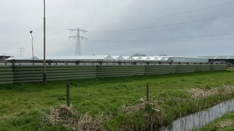 Power grid infrastructure dominating a rural Netherlands scene with green g.. Stock Footage 334078840