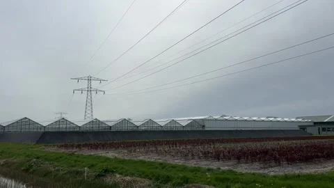 Power grid lines cutting across a scenic countryside with crops, horses, an.. Stock-Footage 334078517