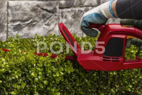 Power hedger trimming hedges Stock Photos