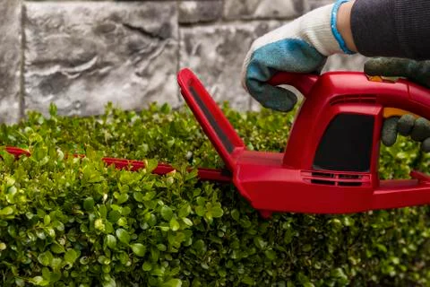 Power hedger trimming hedges Stock Photos
