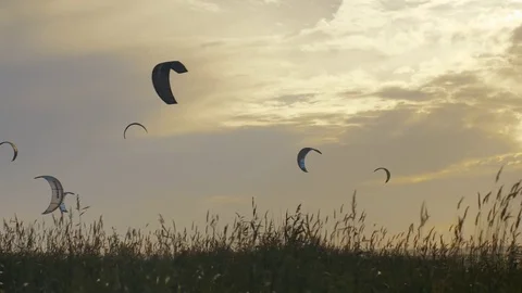 Power kites in evening sky Stock Footage 82909584