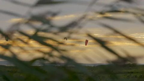 Power kites at sunset Stock Footage 82956594