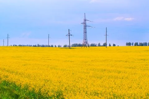 Power line among the fields Stock Photos