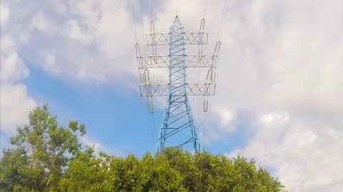 Power Line And Trees at summer Timelapse Vidéo 77283578