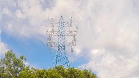 Power Line And Trees at summer day Timelapse Stock Footage 77284603