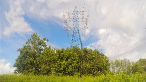 Power line and trees timelapse Vidéo 77284157