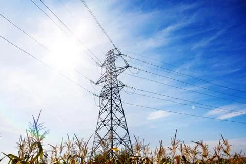 Power Line at the Blue Sky on the Corn Field Stock Photos