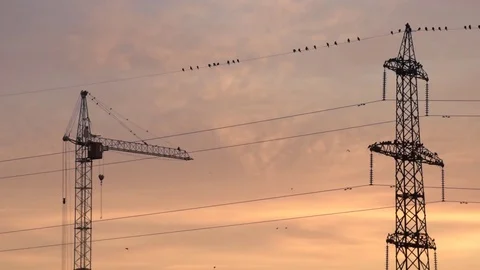 Power line, construction crane and birds with creamy colorful sky in the morning Stock Footage 80337562
