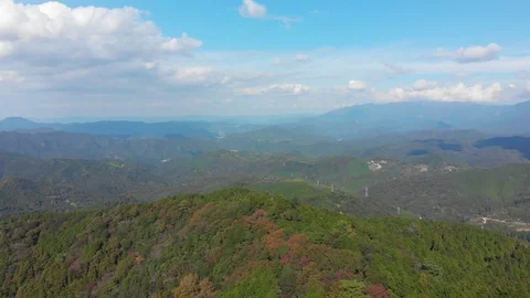 Power line cutting through a forest during autumn color season Vídeo Stock 111356242