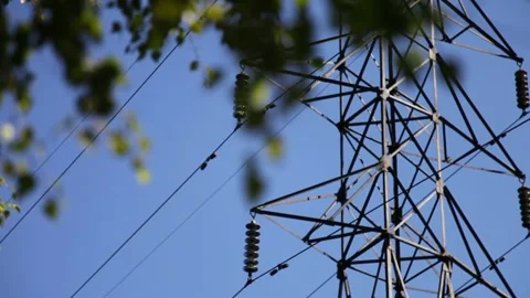 Power line on foliage background Stock Footage 148458759