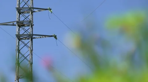 Power Line Video stock 52699439