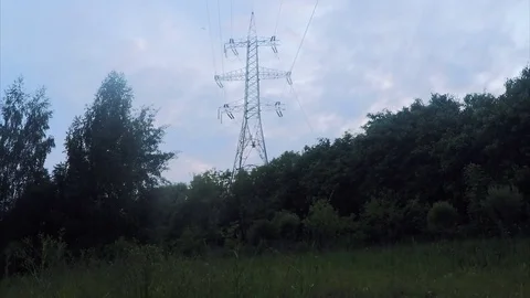 Power line in the forest among the trees in the evening Stock Footage 82368183