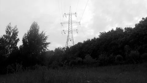 Power line in the forest among the trees black and white 스톡 동영상 82368610