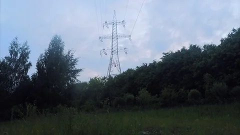 Power line in forest among the trees in the evening Stock Footage 82369554