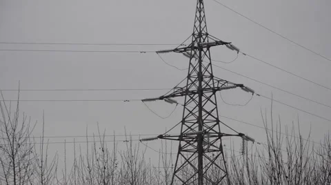 Power line in the forest Stock Footage 57316480
