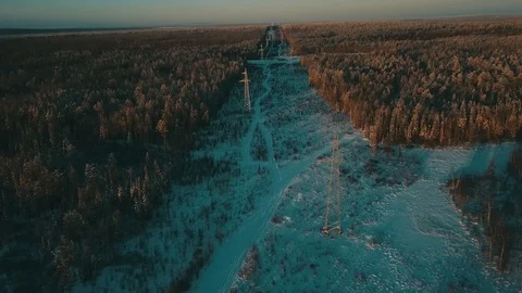 Power line in Forest Stock Footage 88162915