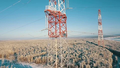 Power line in Forest Video stock 88163140