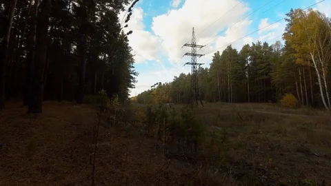 Power line in the forest Stock Footage 97534572