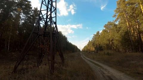 Power line in the forest Stock Footage 97534842